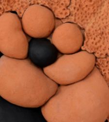 Il MIC di Faenza acquisisce Il Piede di Luigi Mainolfi, arricchendo la sua collezione di scultura contemporanea