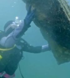 Recuperati reperti archeologici di epoca imperiale nei fondali del porto romano di Miseno (Napoli)
