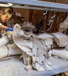 Parma, Beginn der Restaurierung von sechs wichtigen Barockstatuen im Teatro Farnese
