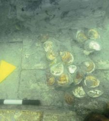 Venice lagoon reveals submerged Roman oyster farm