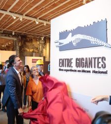 Brasil, el Museo Nacional de Río de Janeiro reabre siete años después del incendio