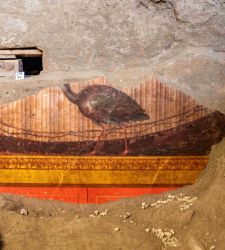 Pompeii, frescoes with peacocks and masks surface in the Villa of Poppaea at Oplontis 