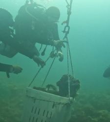 Riemerge nel Salento un frammento bronzeo: nuova scoperta archeologica al largo di Leuca