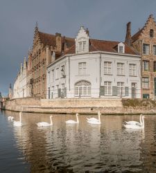 Bruges and its masters: a tour of art and history