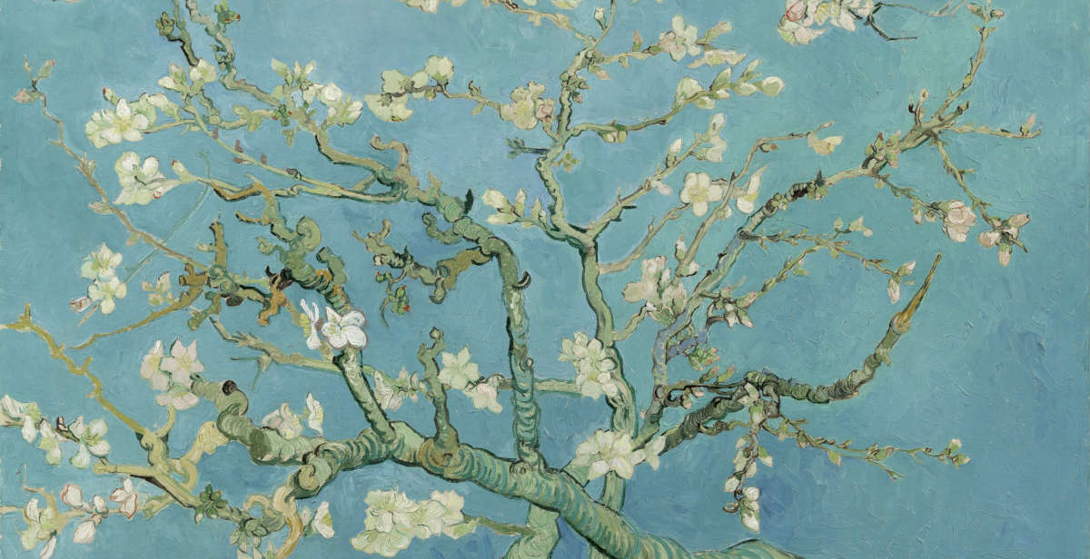 La primavera come stato d'animo: quando anche noi ricominciamo a fiorire