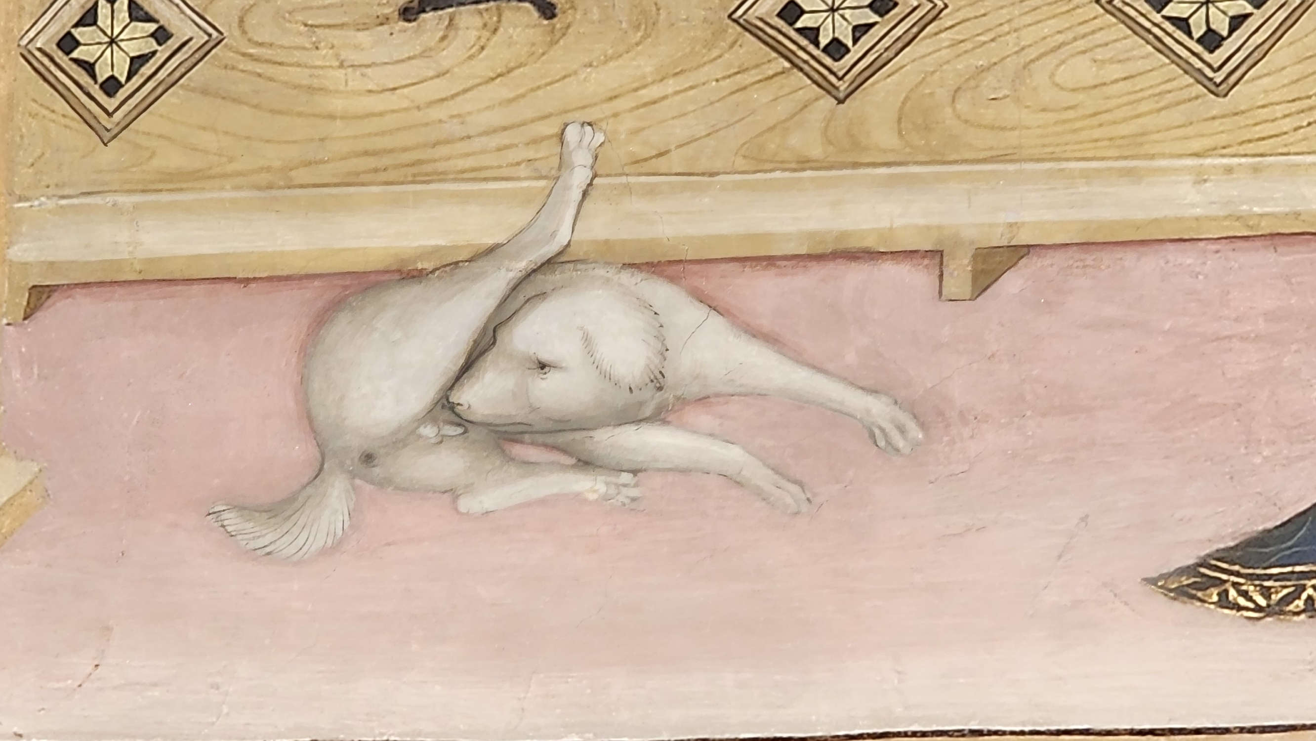 Los frescos de Lorenzo y Jacopo Salimbeni en el Oratorio de San Juan Bautista de Urbino. Foto: Federico Giannini