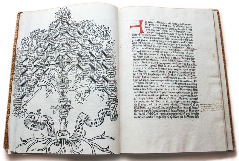Johannes Andreae, Super arboribus consanguinitatis, affinitatis et cognationis spiritualis