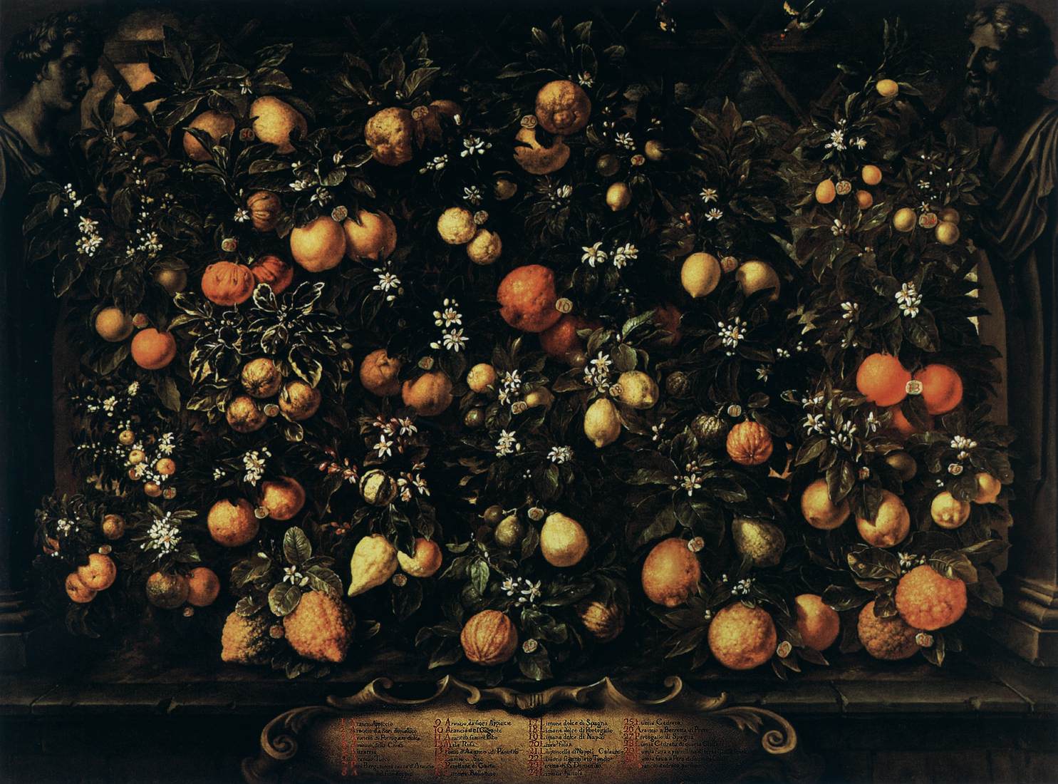 Bartolomeo Bimbi, Melangoli, limoni e limette (1715 ; huile sur toile, 174 x 233 cm ; Poggio a Caiano, Villa Medicea, Museo della Natura Morta)