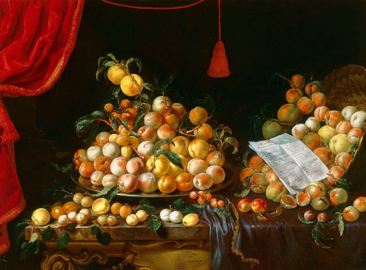 Bartolomeo Bimbi, Poisson et abricots (huile sur toile ; Poggio a Caiano, Villa Medicea, Museo della Natura Morta)