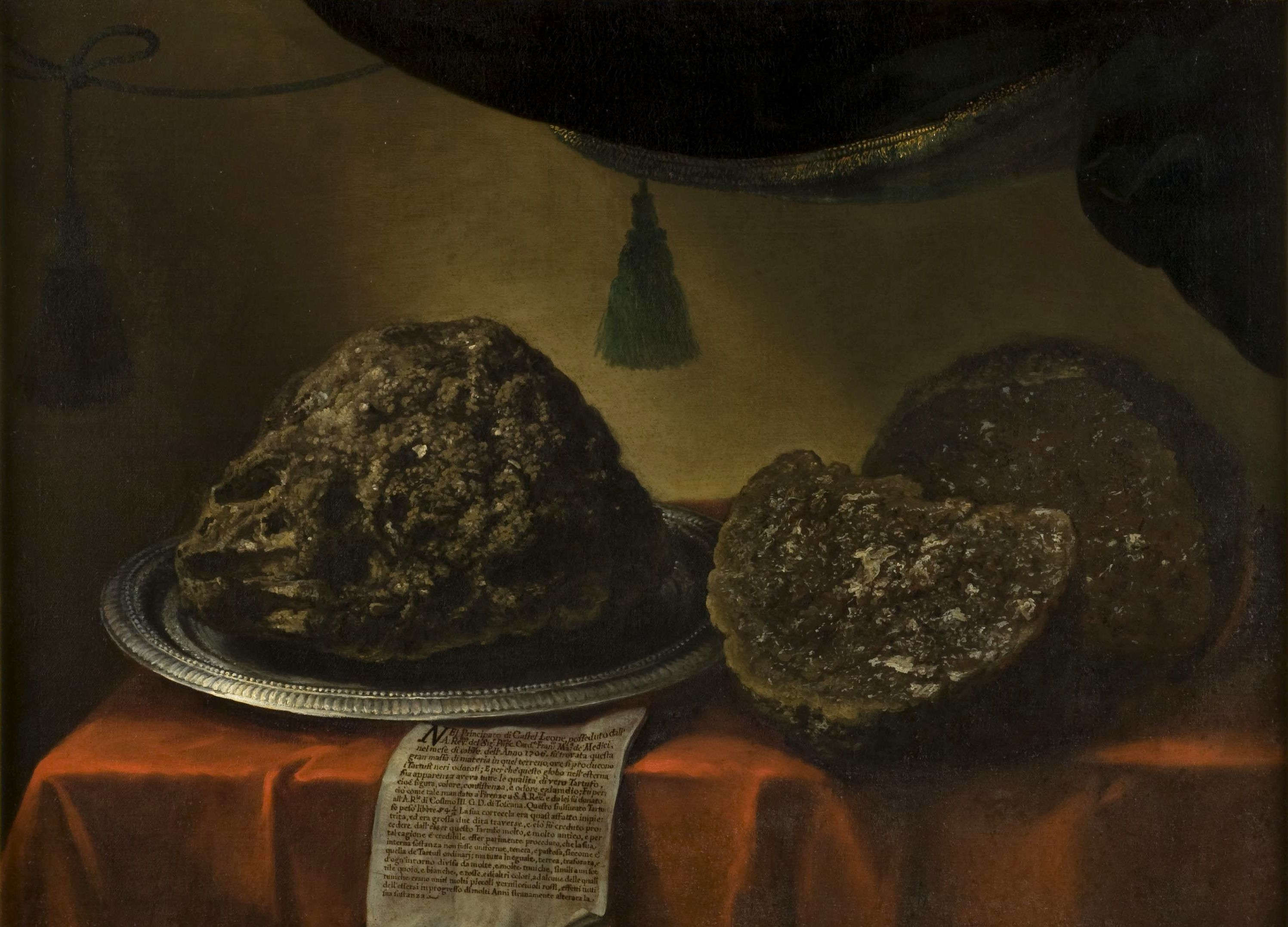 Bartolomeo Bimbi, Castel Leone Truffle (1706 ; huile sur toile, 89 x 121,5 cm ; Florence, Museo di Storia Naturale, Sezione Botanica, inv. collections 1930, no 348)