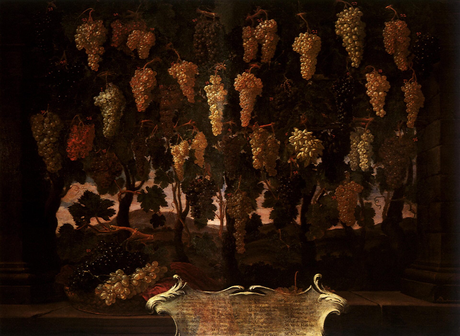 Bartolomeo Bimbi, Raisins (huile sur toile ; Poggio a Caiano, Villa Medicea, Museo della Natura Morta)