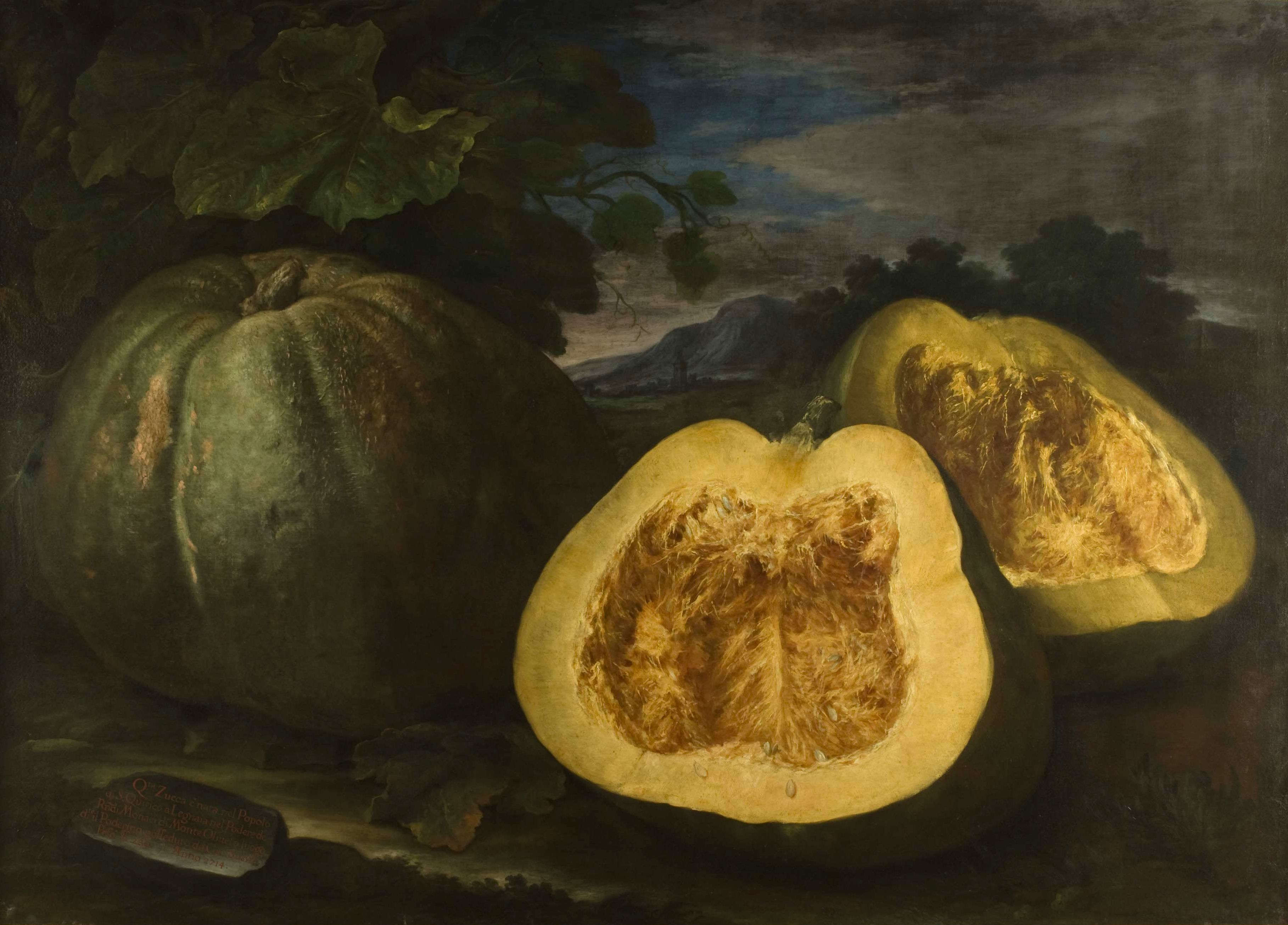 Bartolomeo Bimbi, Citrouille des moines de Monteoliveto (1714 ; huile sur toile, 146 x 201 cm ; Florence, Musée d'histoire naturelle, section botanique, inv. collections 1930, n° 342)
