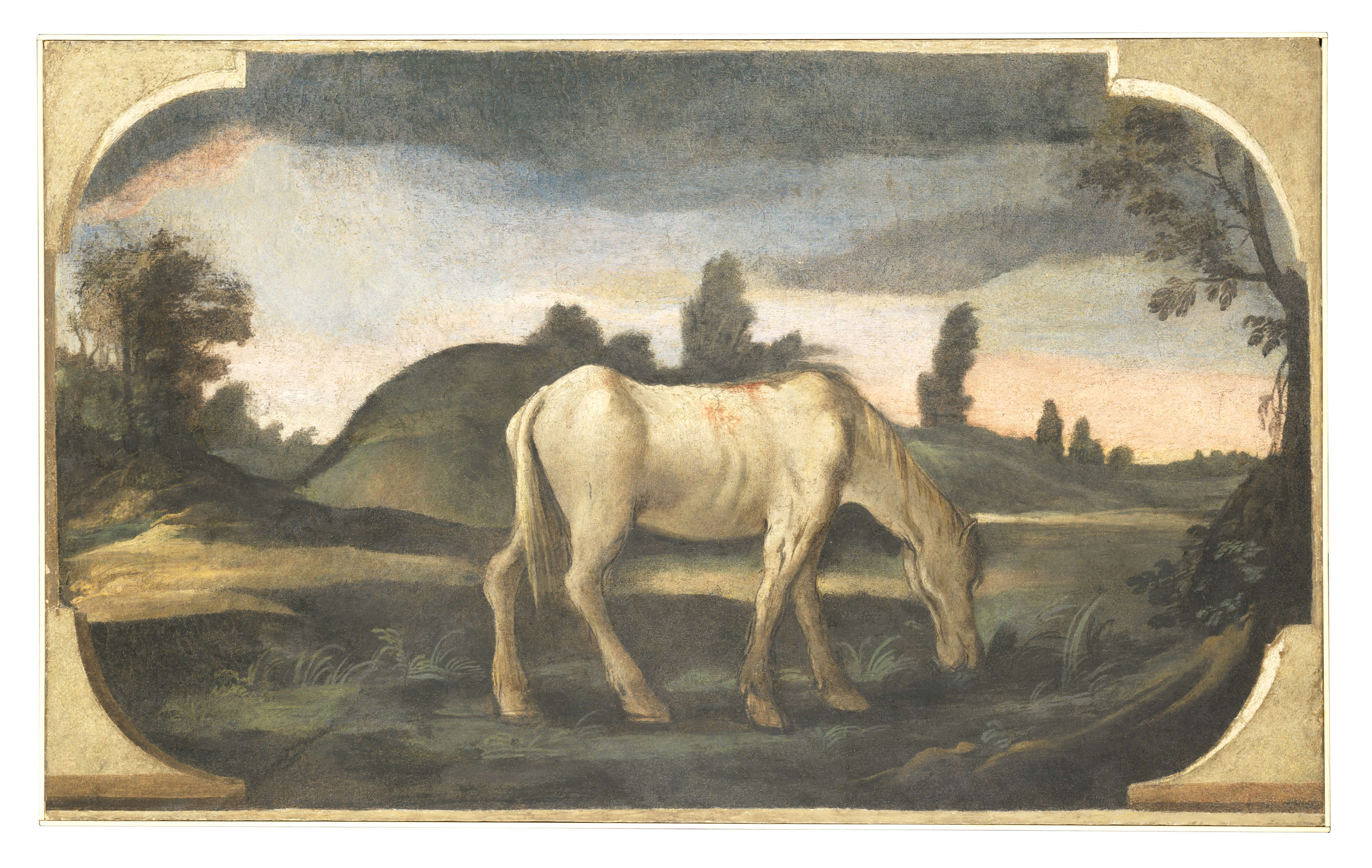 Guercino, Pinturas murales de la Casa Pannini, Paisaje con un caballo blanco conocido como «La rozza» (hacia 1615-1617; fresco trasladado al lienzo, 79 &times; 132 cm; Cento, Pinacoteca Cívica) &copy; Ayuntamiento de Cento, por amable concesión