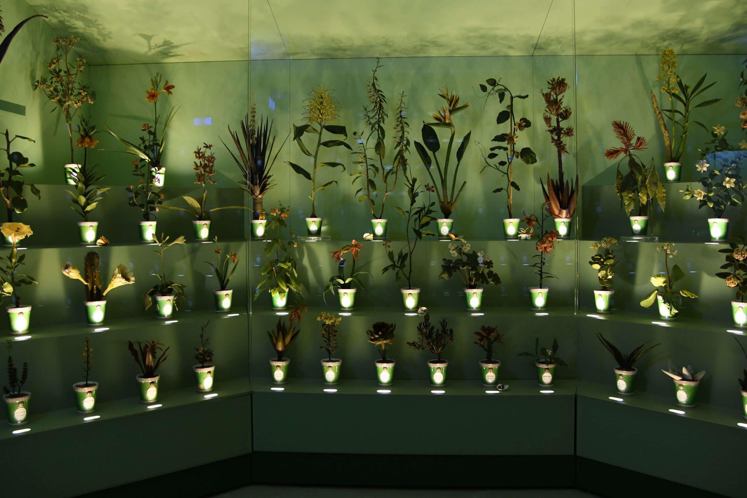 Ceras botánicas en la Specola de Florencia. Foto: Toscana Promozione Turistica