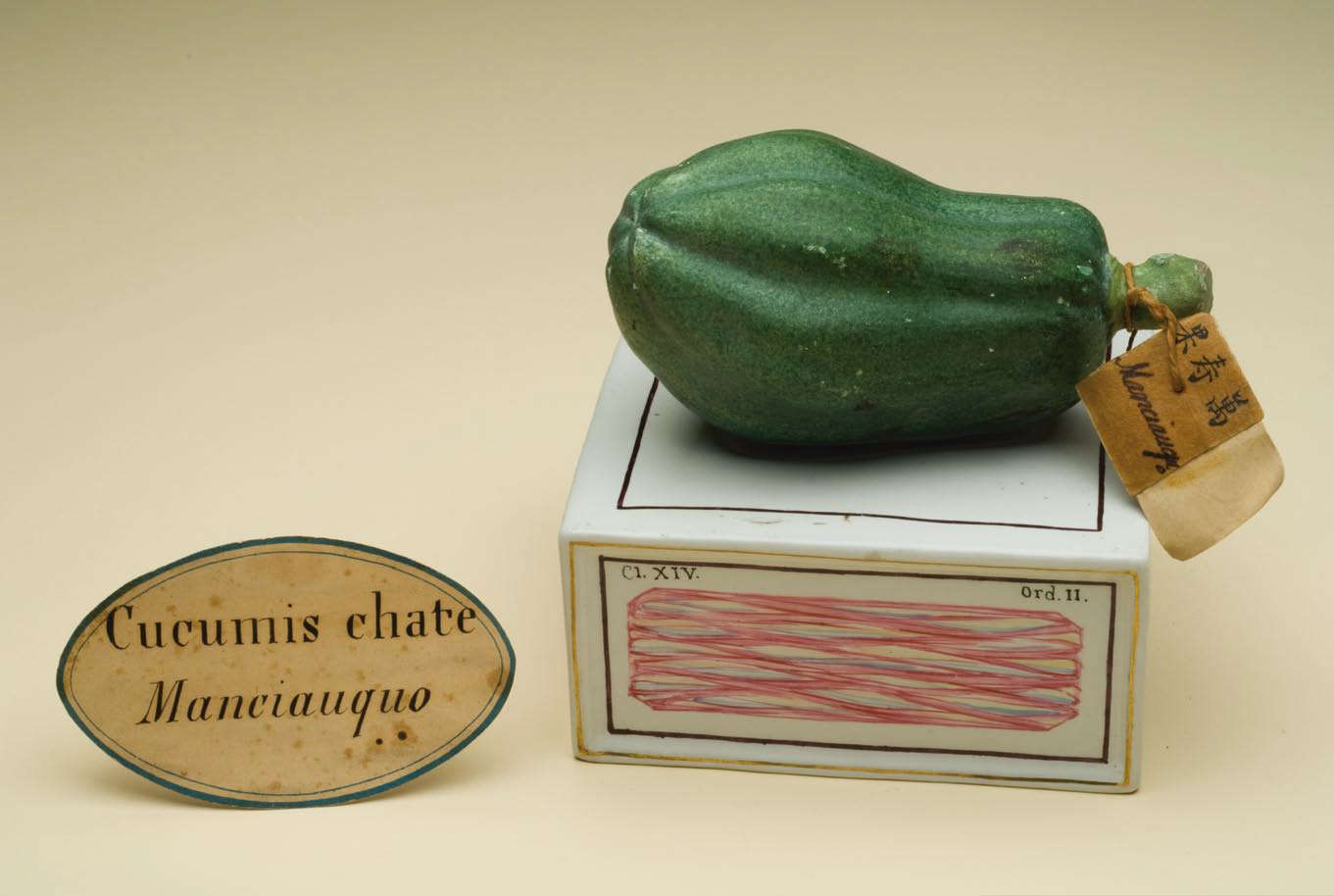 Modelo de terracota de Manciauquo, Cucumis chate