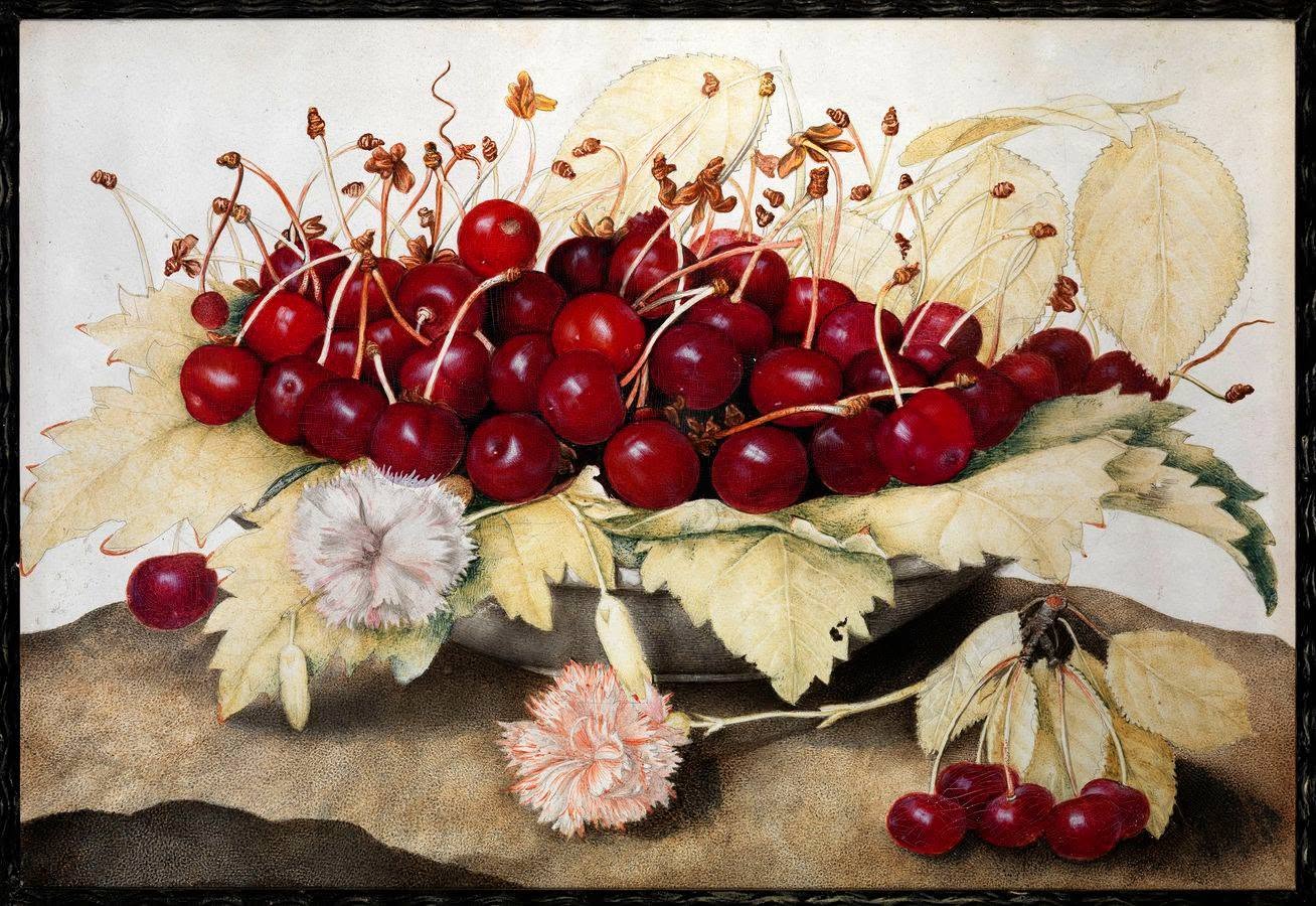 Giovanna Garzoni, Bowl with Cherries and Carnations (c. 1655&ndash;1662; tempera on parchment, 23.5 x 38.5 cm; Florence, Uffizi Galleries, Palatine Gallery, inv. 1890, no. 4764)