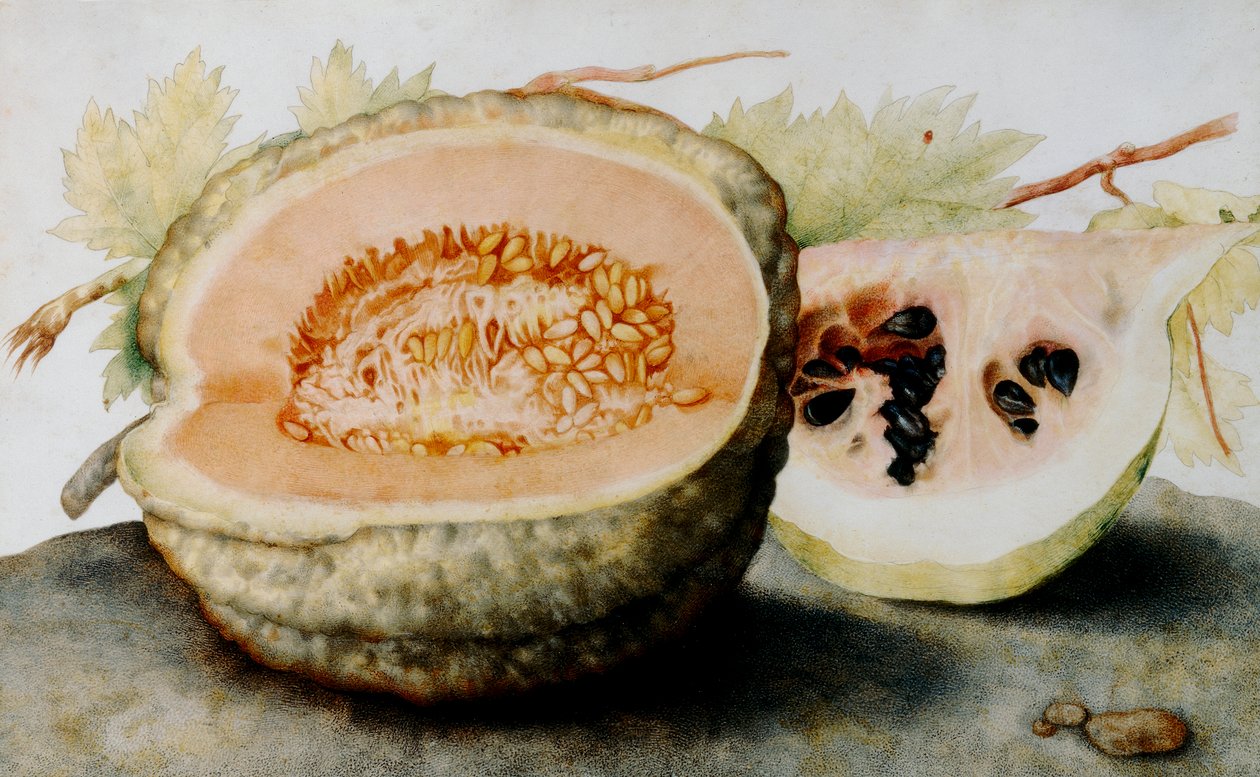 Giovanna Garzoni, Still Life with Melon and Watermelon (c. 1655&ndash;1662; tempera on parchment, 23.5 x 38.5 cm; Florence, Uffizi Galleries, Palatine Gallery, inv. 1890, no. 4771)