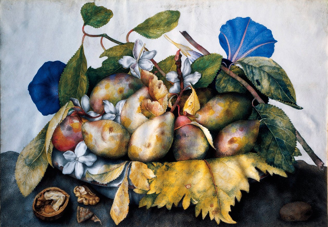 Giovanna Garzoni, Bowl with Plums, Jasmine Flowers, and a Walnut (c. 1655&ndash;1662; tempera on parchment, 23.5 x 38.5 cm; Florence, Uffizi Galleries, Palatine Gallery, inv. 1890, no. 4751)