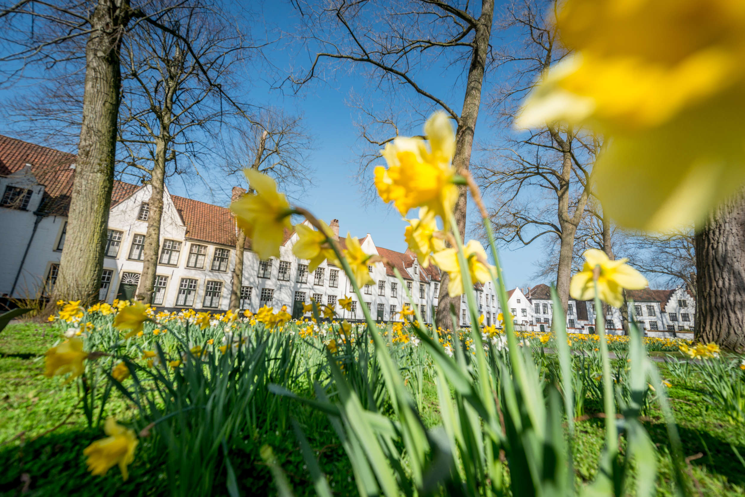 Bruges, Begijnhof. Photo: Visit Bruges / Jan Darthet