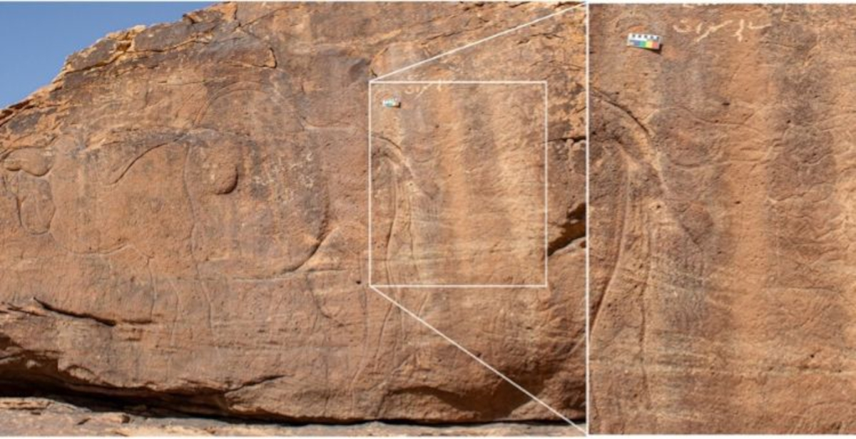 13.500 anni fa in Arabia: scoperta una delle prime comunità umane
