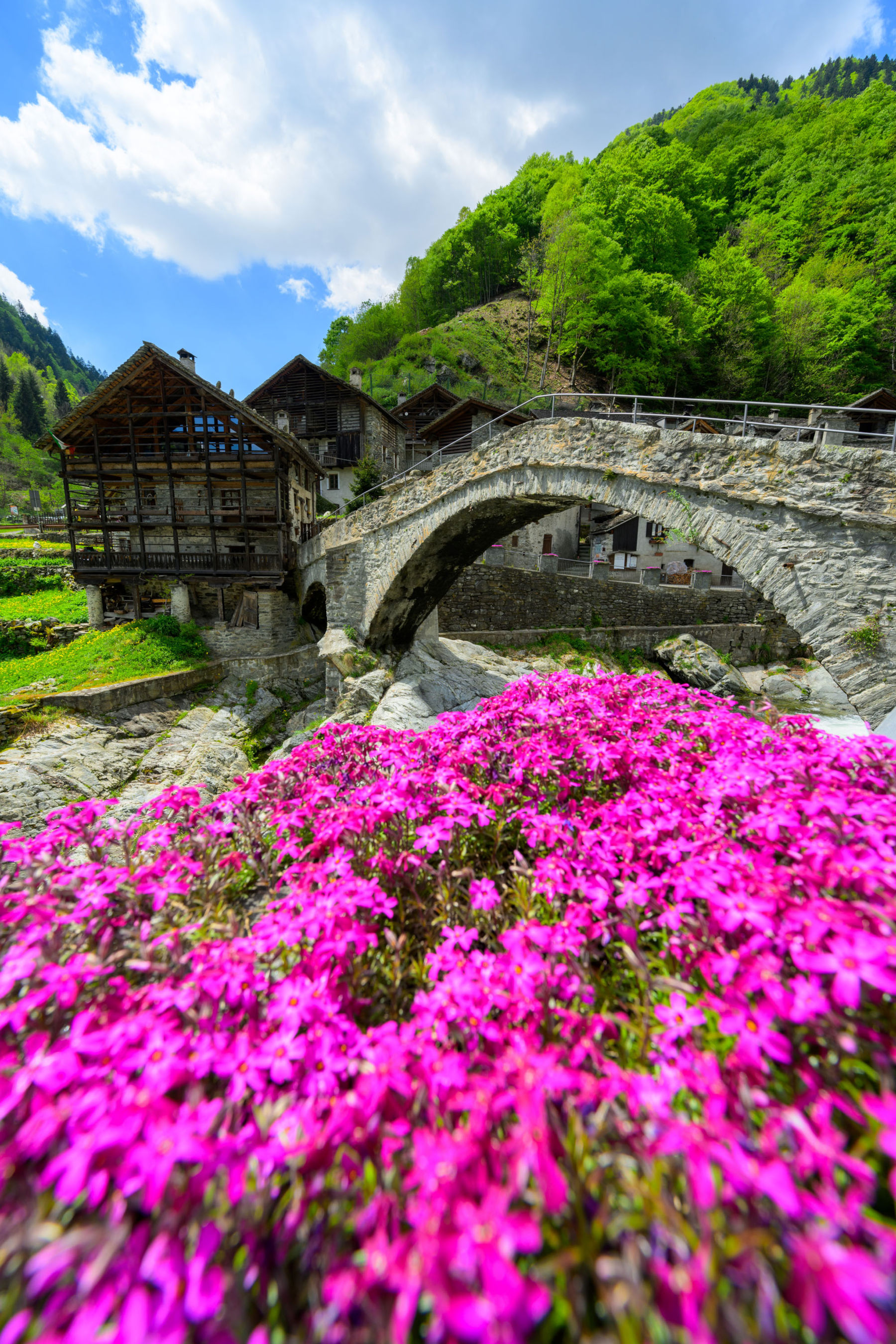 拉萨村。图片来源：ATL ArchiveATL Archive Terre dell'Alto Piemonte
