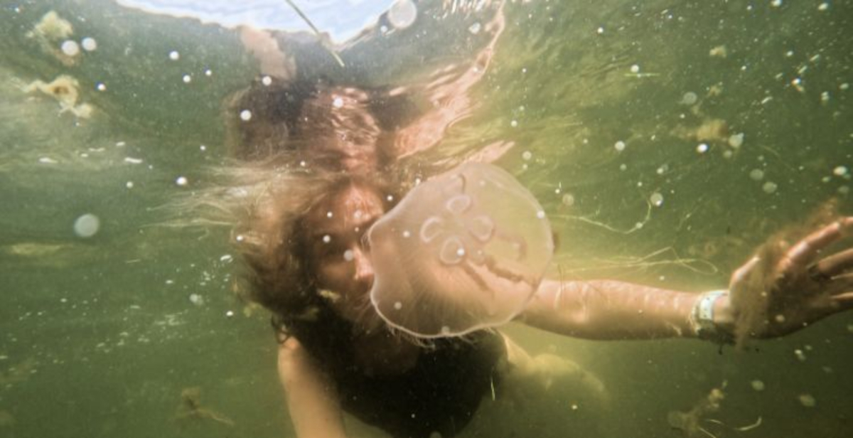 La Polonia alla Biennale di Venezia 2026 porta un'installazione sull'ascolto dei linguaggi marginalizzati