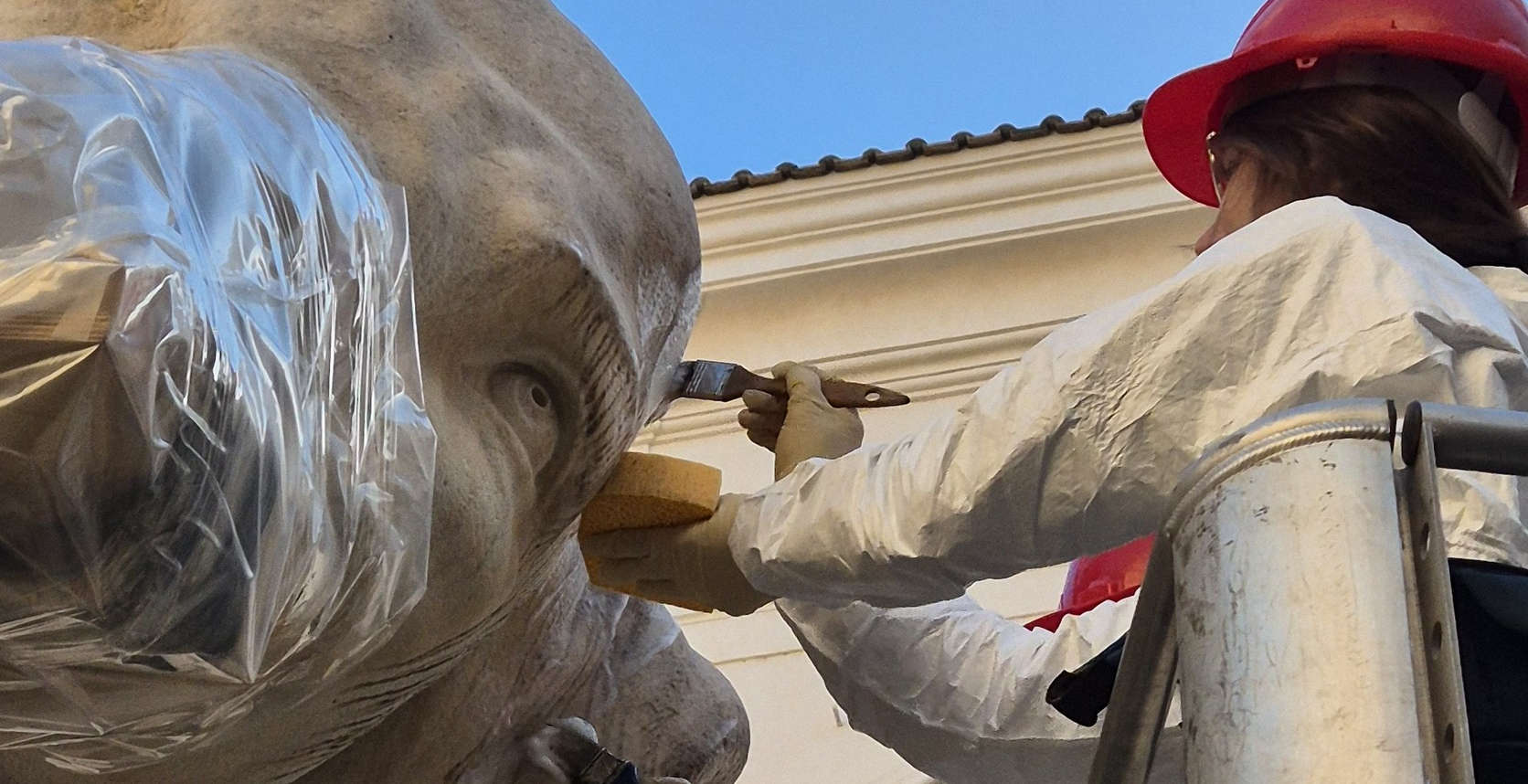 Elefantino della Minerva, riattaccata la zanna danneggiata e completata la manutenzione