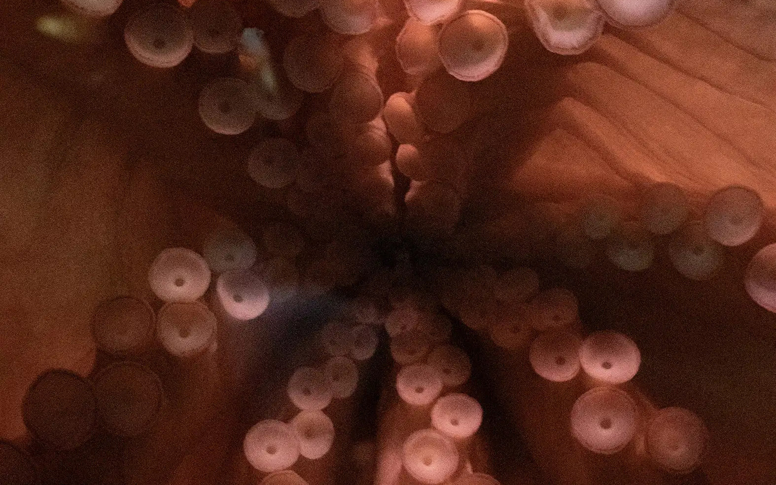 Giovane Fotografia Italiana 2026: selezionati i sette finalisti under 35 del Premio Luigi Ghirri