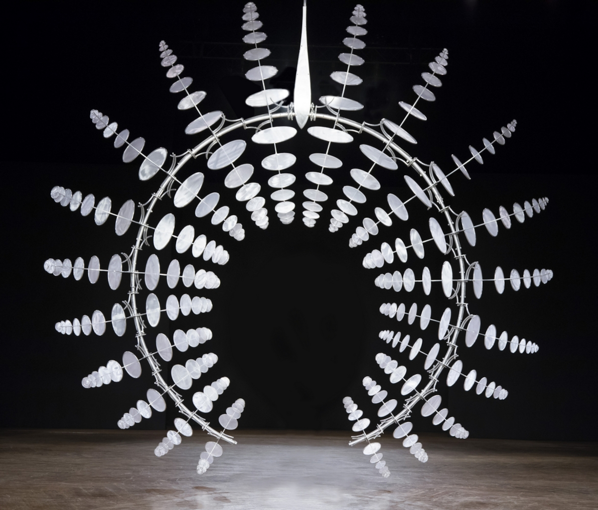 Anthony Howe, Omniverse