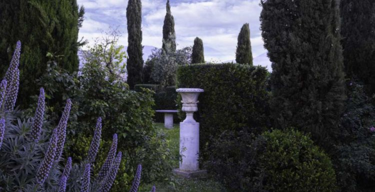 Villa delle Rose a Gaeta riapre con oltre 150 specie di palme rare