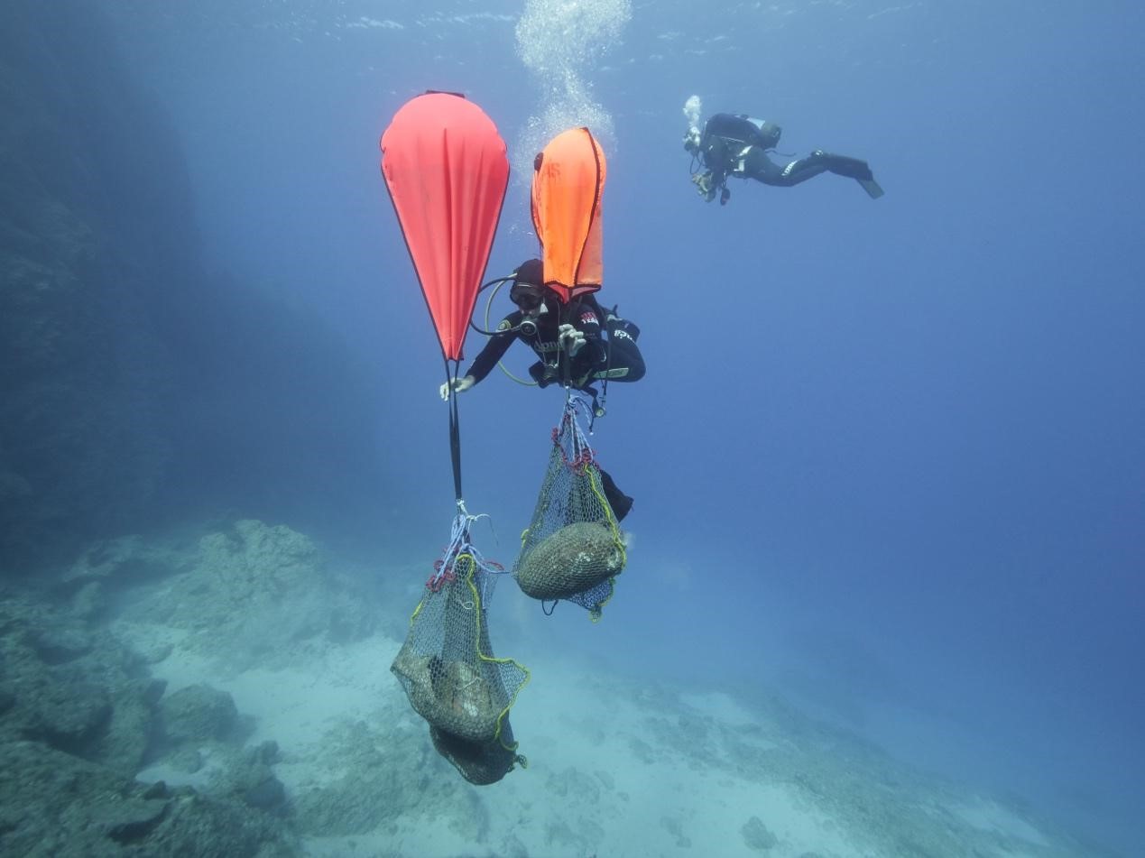 Recuperación de objetos de la zona del naufragio del KT3. Foto: S. Apostolopoulos - Ministerio de Cultura de Grecia.