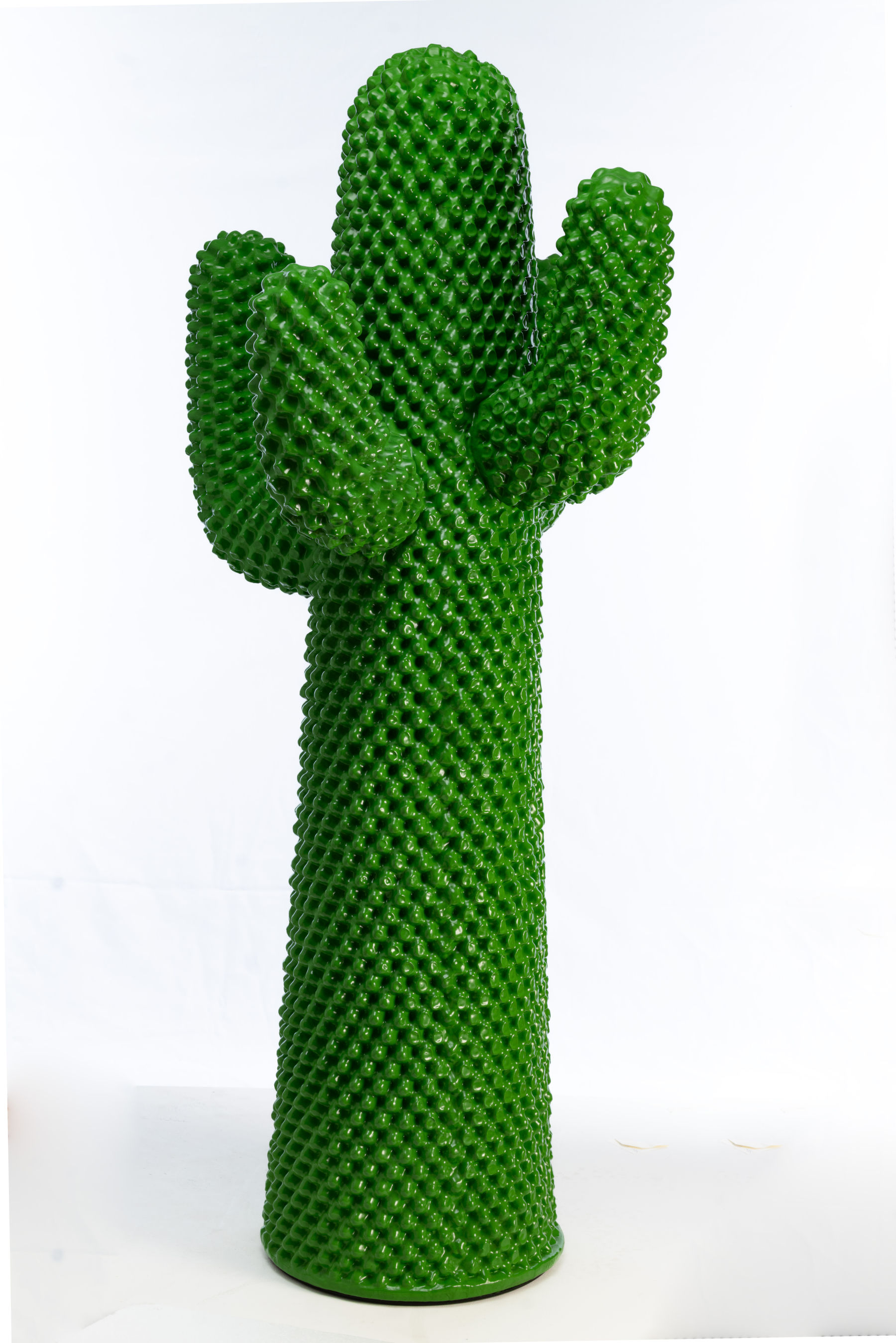 GUFRAM, Cactus (Museos Provinciales de Gorizia, ERPAC FVG). Foto de Luigi Vitale