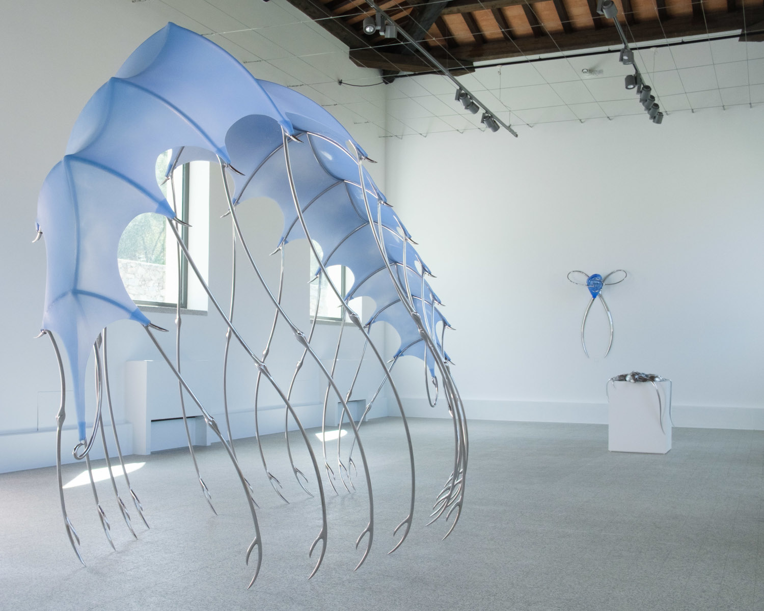 Al Museo Nivola la prima personale italiana di Hannah Levy: nuove sculture ispirate al granchio a ferro di cavallo