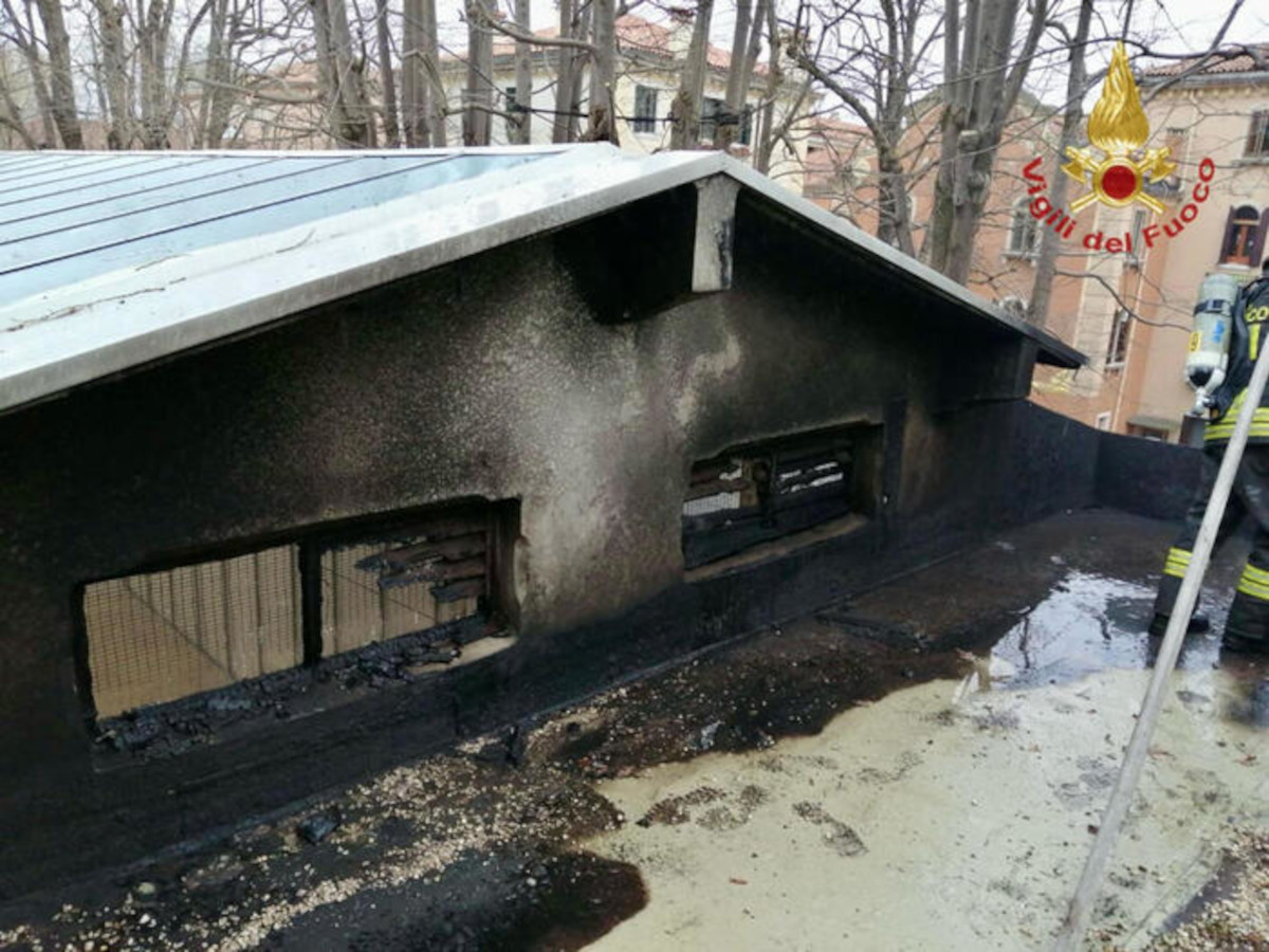 Venezia, incendio al Padiglione della Serbia. Nessun ferito né danni all'interno