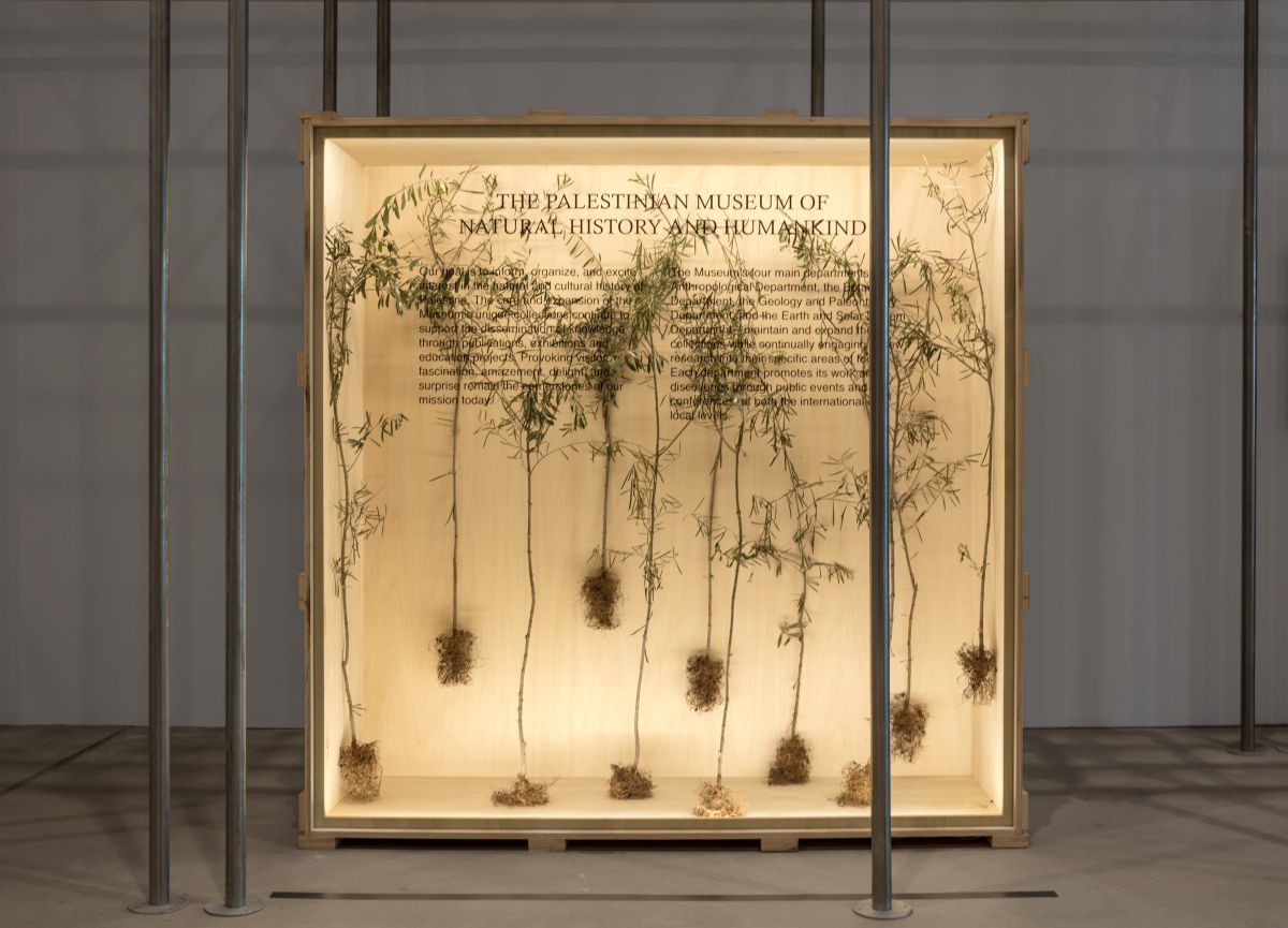 A Torino, archeologia e arte contemporanea raccontano la profondità storica e culturale di Gaza