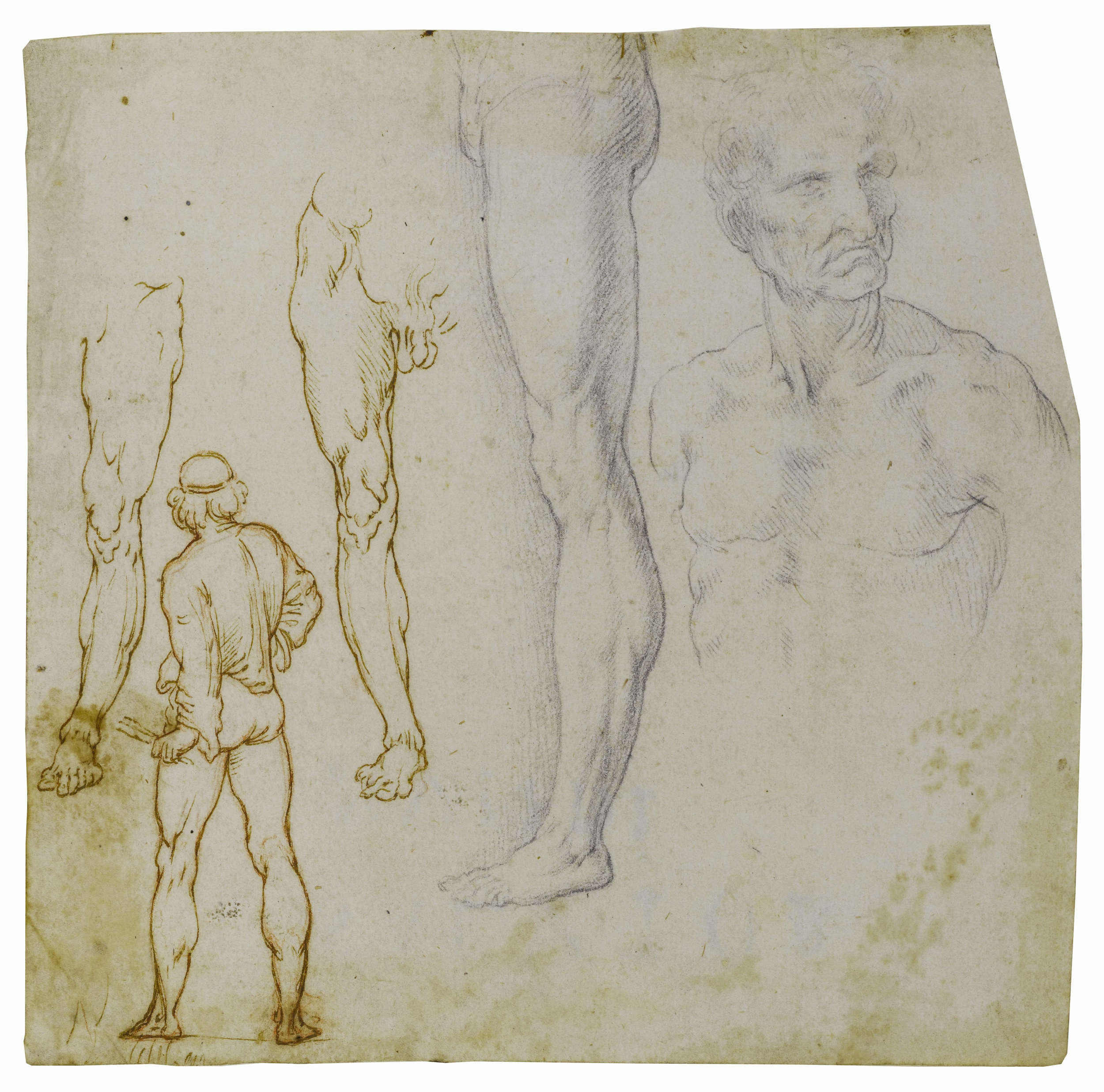Leonardo da Vinci and his studio, Anatomical and Figure Studies (early to mid-16th century; Milan, Cabinet of Drawings, Castello Sforzesco) &copy; City of Milan