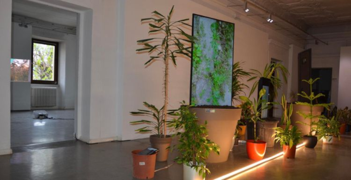 Il Museo di Cavalese lancia Performa: tre settimane di arte performativa e ricerca