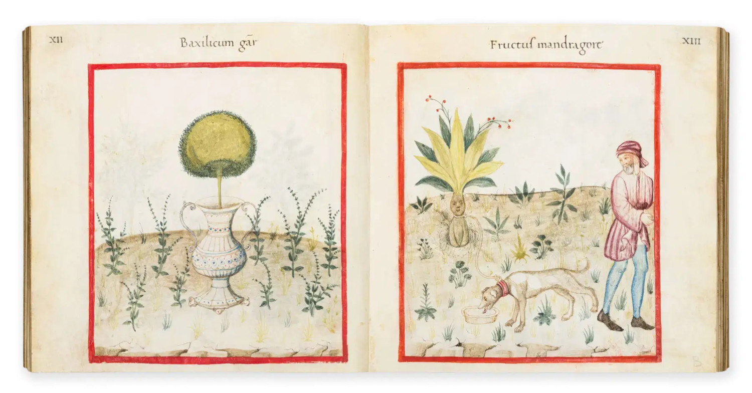 Venduto al TEFAF Maastricht per 5 milioni di franchi svizzeri un raro manoscritto miniato padovano del '400