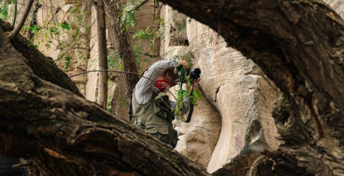 Messico, scoperte nuove pitture rupestri dalla preistoria al 1521 d.C. durante i lavori del treno Messico-Querétaro