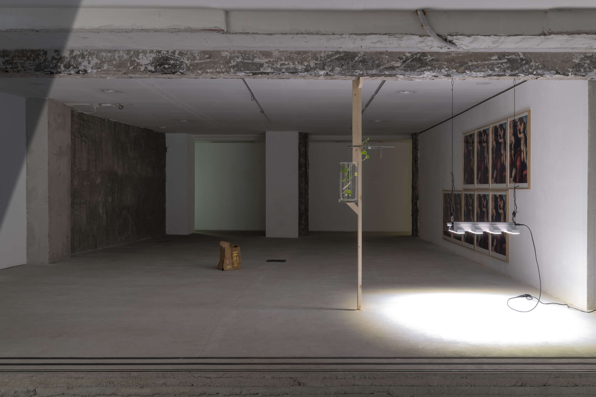 Roma, Danh Vo in mostra alla Fondazione Del Roscio