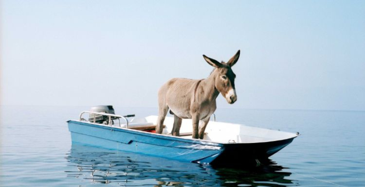 MAXXI 2026: un anno di mostre, architettura e rigenerazione urbana