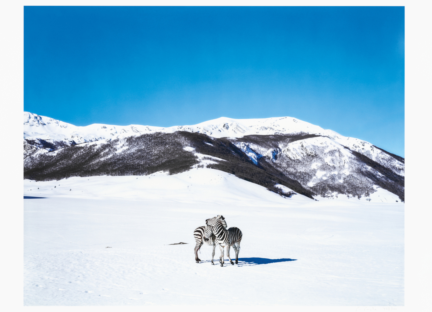 Il rapporto tra fotografia e corpi, luoghi, superfici e nature morte in una grande mostra tra Jesi e Senigallia