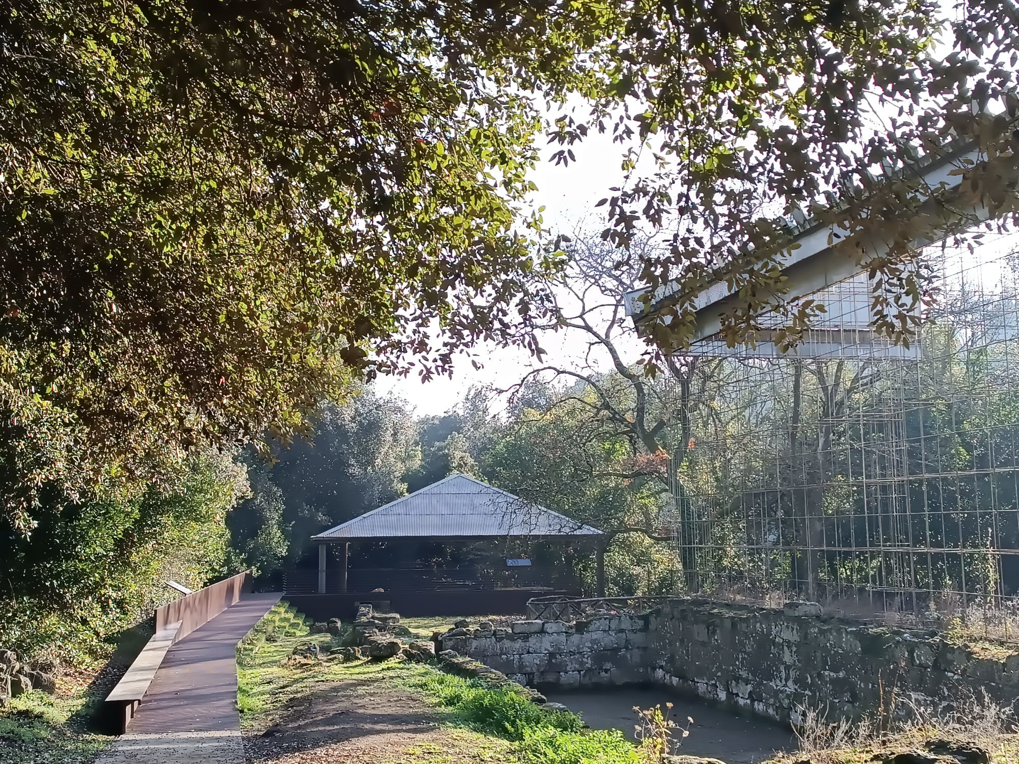 Il Parco Archeologico di Veio apre un nuovo percorso accessibile nell'area del santuario di Portonaccio