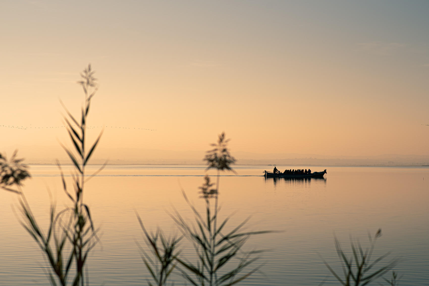 Coucher de soleil à l'Albufera
