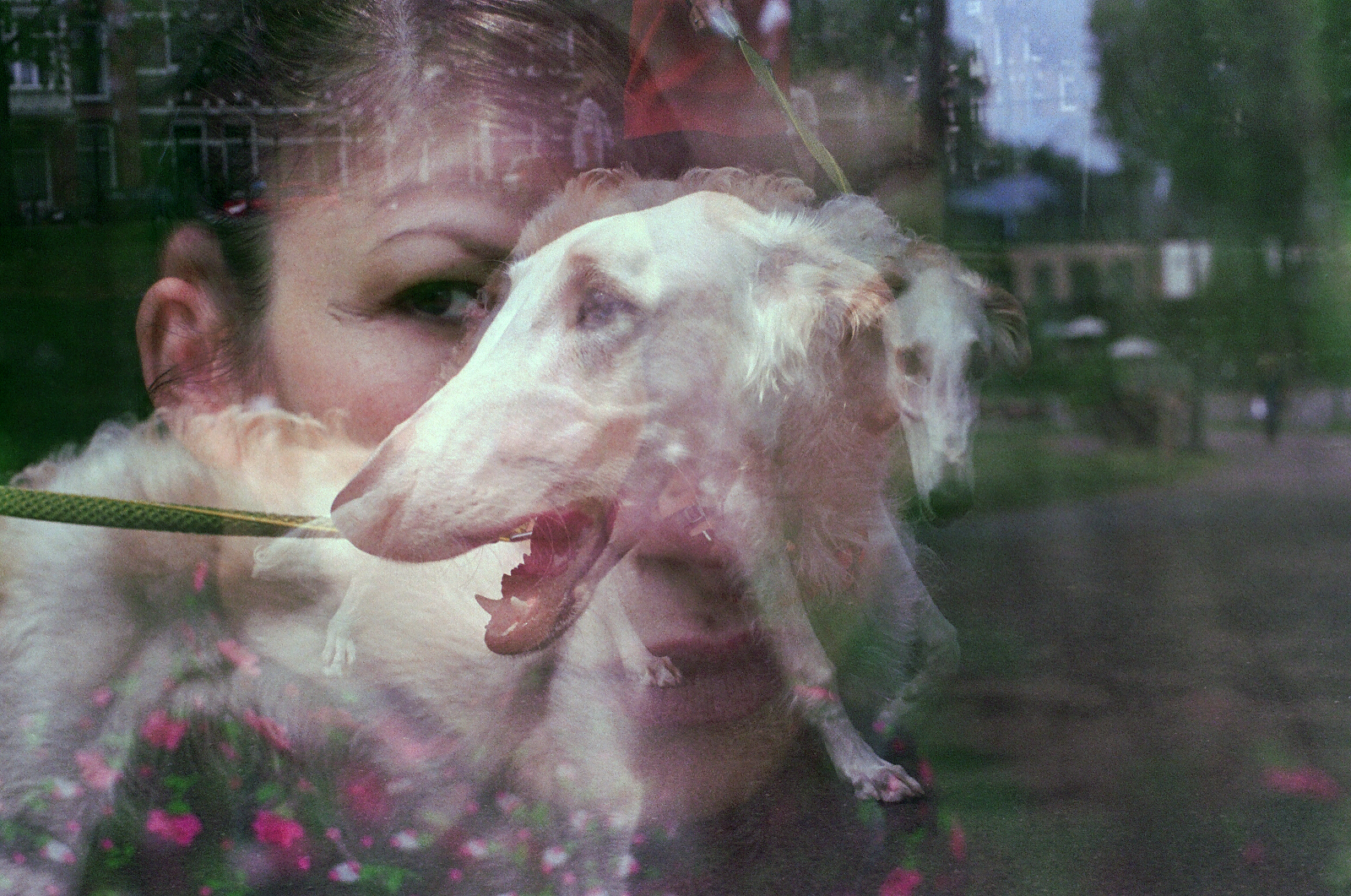 Selma Selman, «Letters to Omer» (2023; fotografías analógicas). Por cortesía de la artista