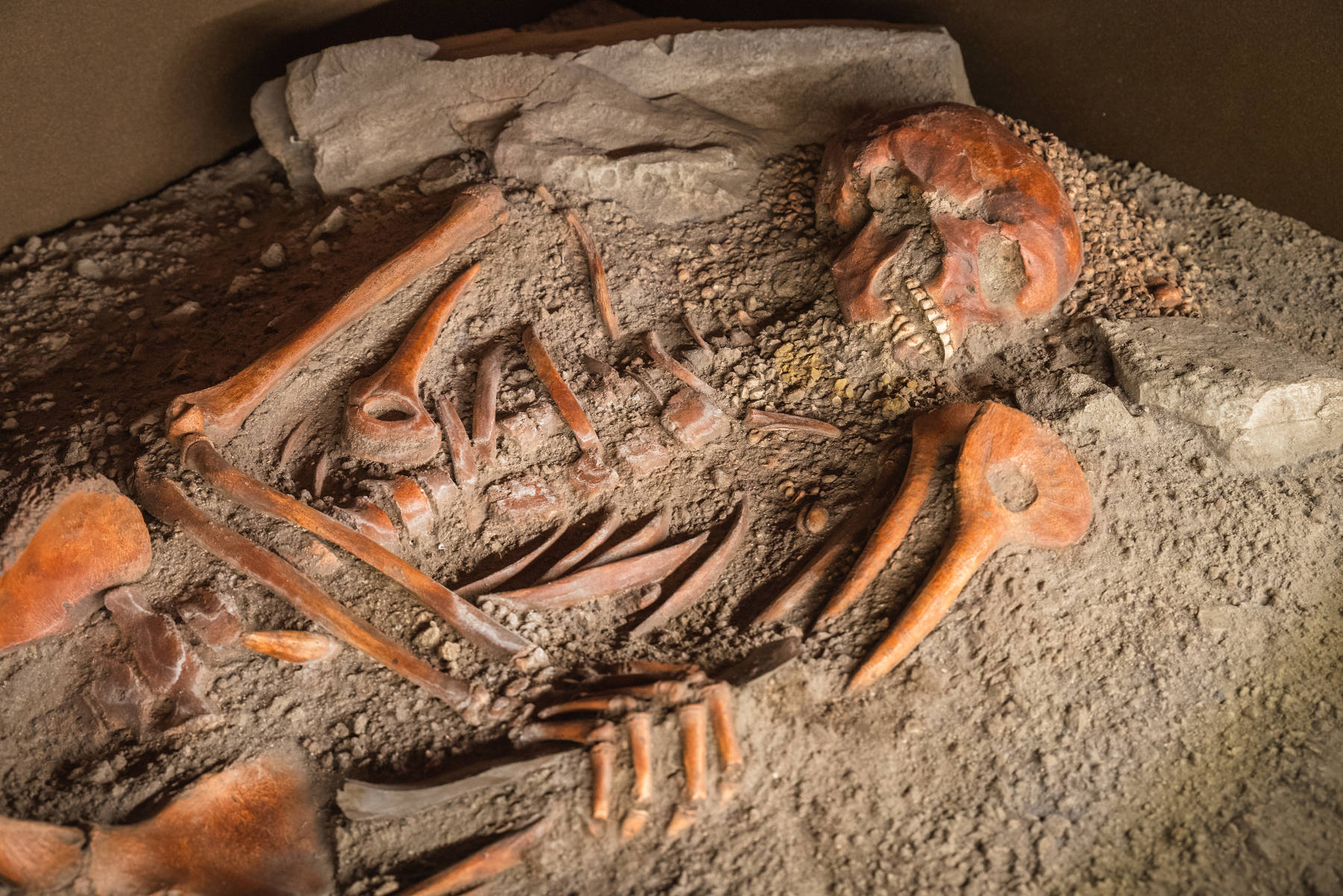 Begräbnis des jungen Prinzen der Candide Arenas, Archäologisches Museum von Finale. Foto Credits: Archiv von Finale Ligure | Studiowiki | Foto: Davide Busetto