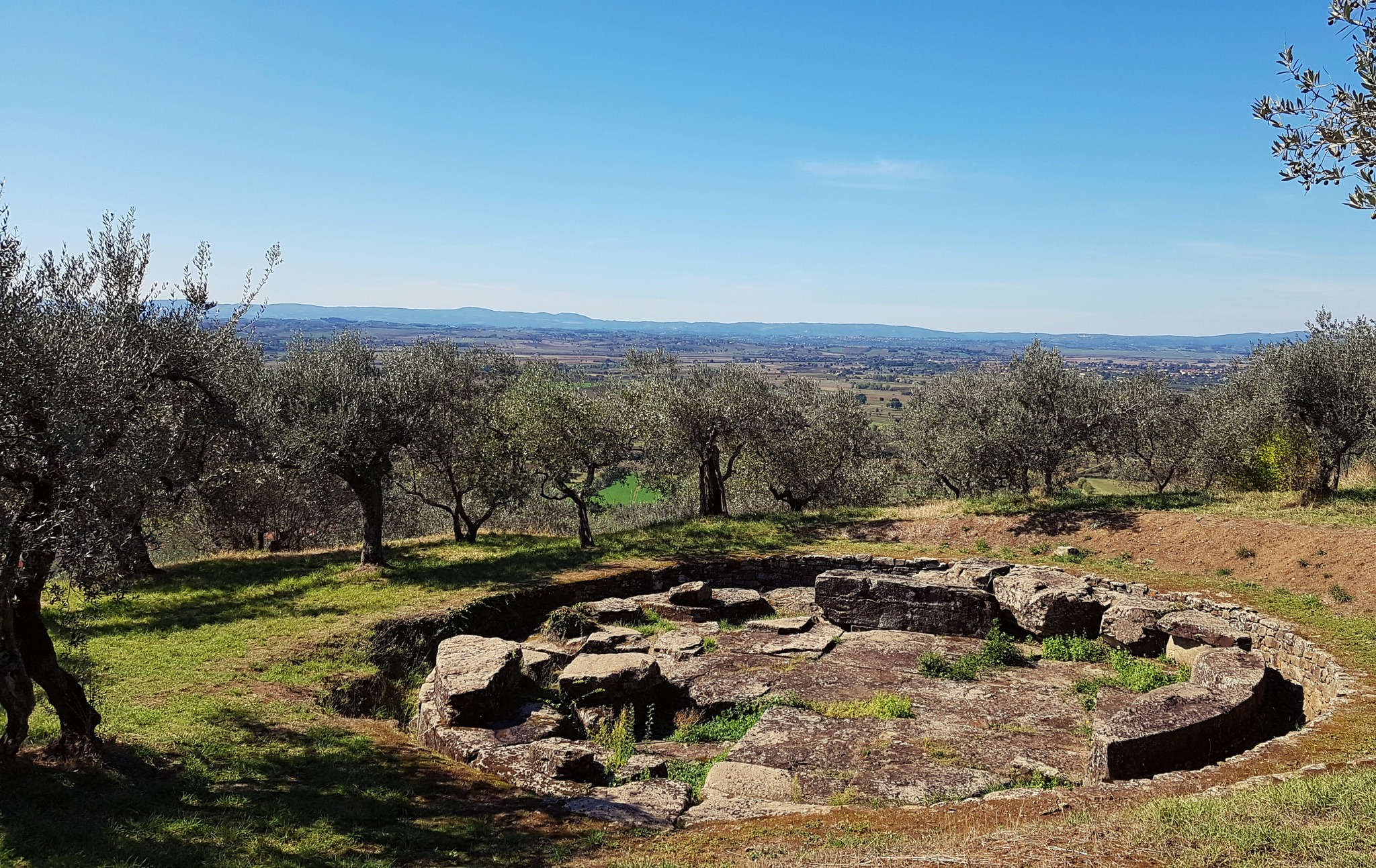 Tanella Angori. Photo : MAEC Cortona