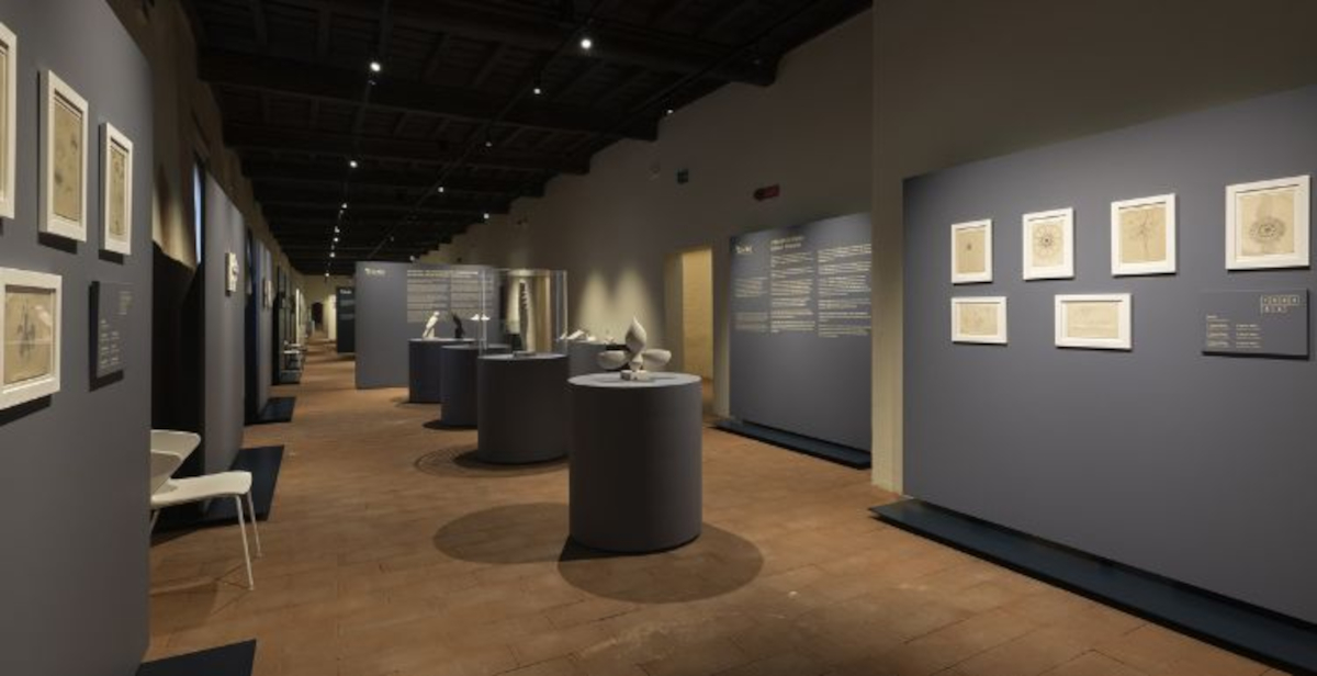 Vigevano dedica una grande mostra a Regina Cassolo: 108 opere al MANLo