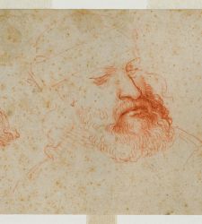 Face to face with Leonardo returns: sheet with Three views of manly head with beard exhibited in Turin