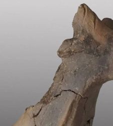 Terracotta winglets with zoomorphic depictions discovered in Padua 